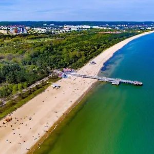 Premium Brzeźno Gdańsk